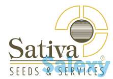 Реализуем семена овощных и бахчевых культур, газонных трав, фотография 1