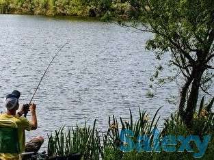 Продам участкти по 12 соток, ПК с/т Темирлан, фотография 4