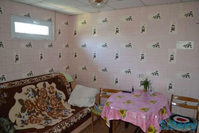 Сдается дача у озера Балхаш, фотография 4