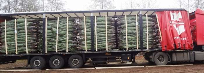 перевозки доставка , фотография 4