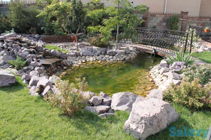 Сад мечты на вашем участке!, фотография 8