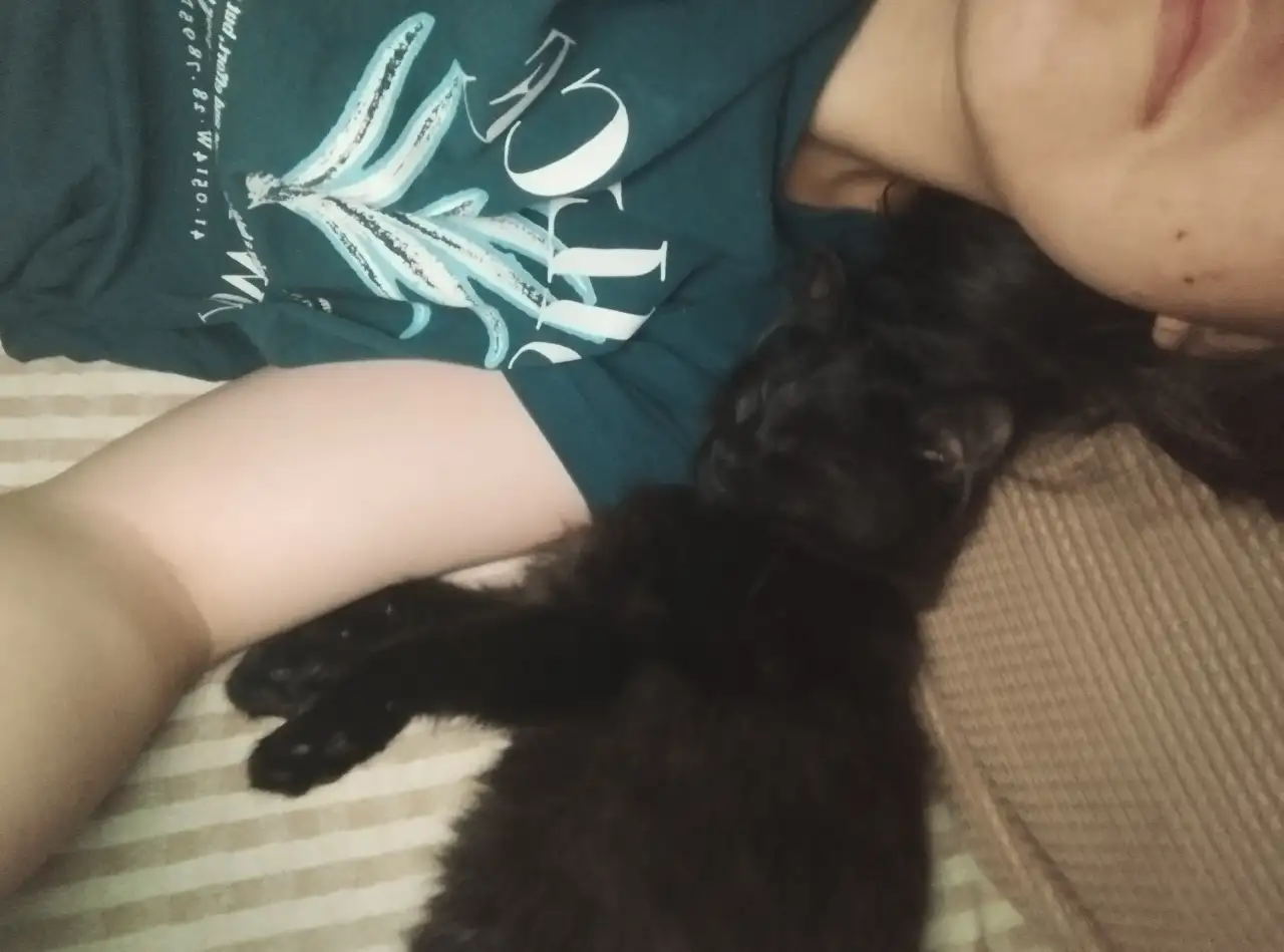 Отдам котенка в добрые руки, фотография 4