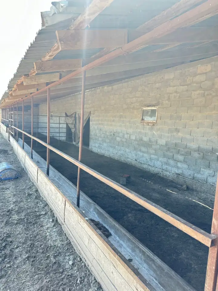 Фазенда, Кольащы, фотография 14