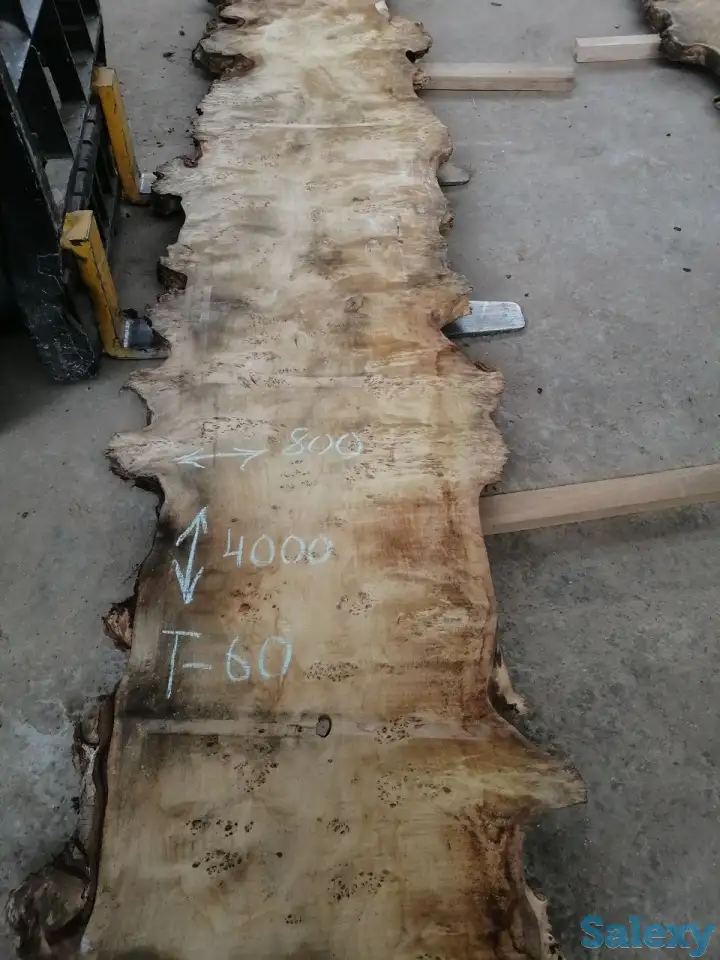 Слэбы от производителя из дуба, шпальтового бука, капового тополя, вербы, капового карагача, ясеня., фотография 3