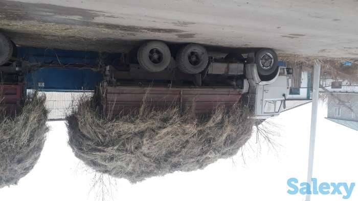 Сено луговое 2019 покоса, фотография 1