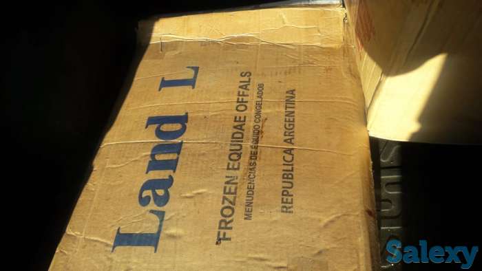 Черева конская для Казы, фотография 6