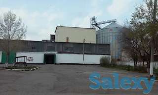 Мукомольный комплекс с элеватором.Новый.Срочно., фотография 4