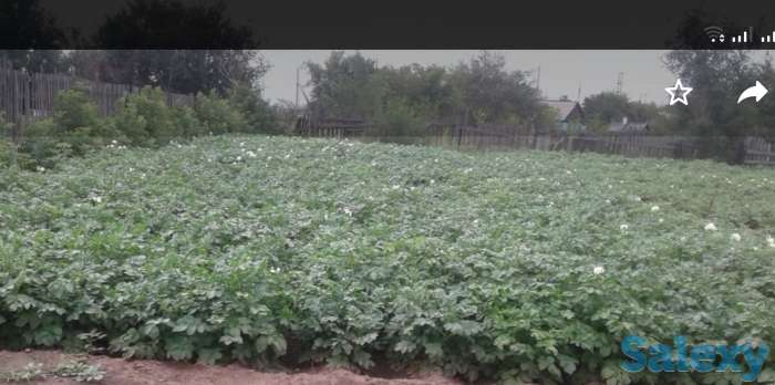 Продаю дом в п.Вольный Абайский р-он., фотография 5