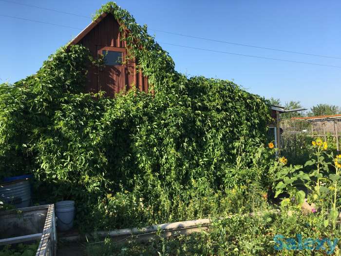 продам дачу, фотография 1