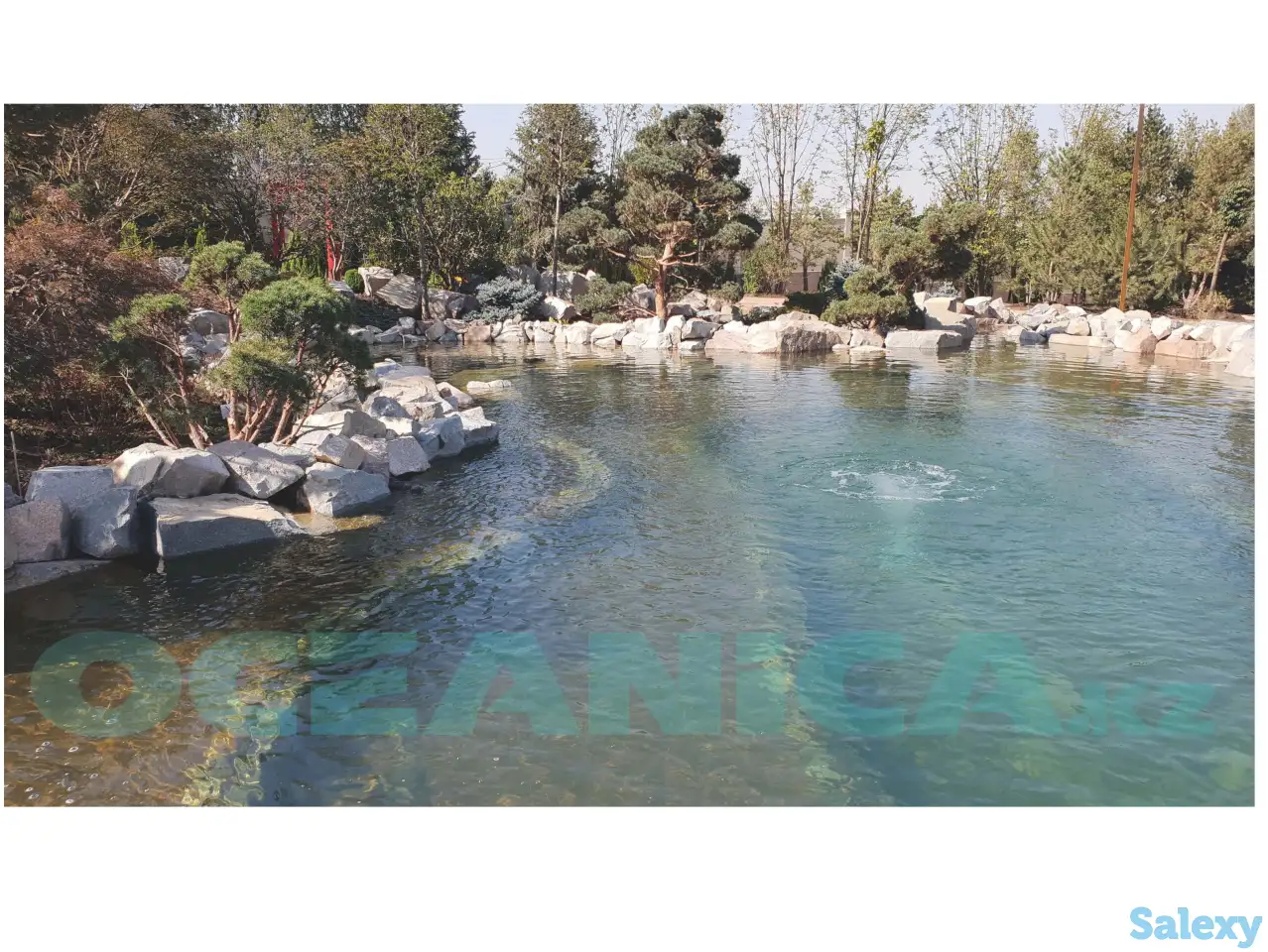 Строительство прудов, фотография 3