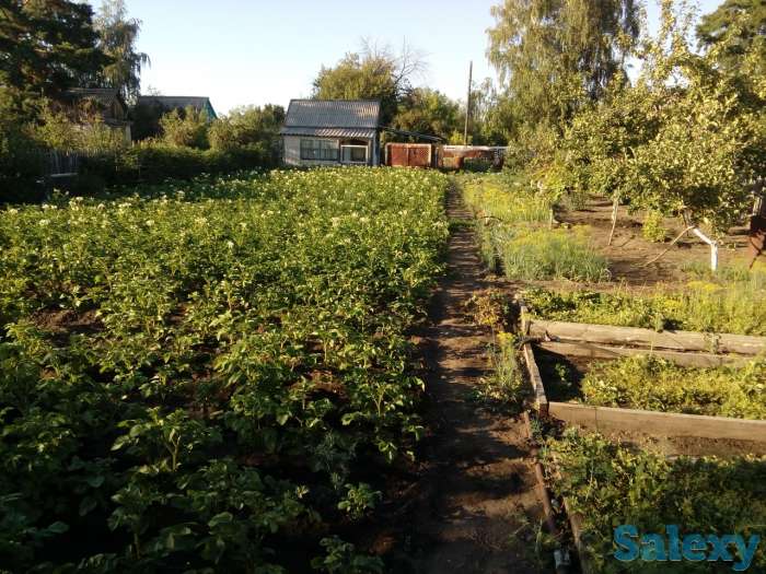 Продам дачу!, фотография 5