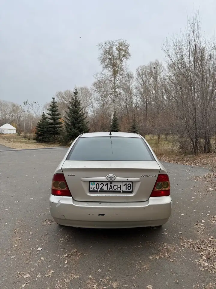 corolla e120 2006год, фотография 3