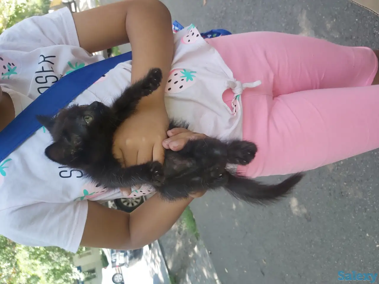 Отдам в добрые руки котят, фотография 2