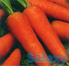 Реализуем семена овощных и бахчевых культур, газонных трав, фотография 7