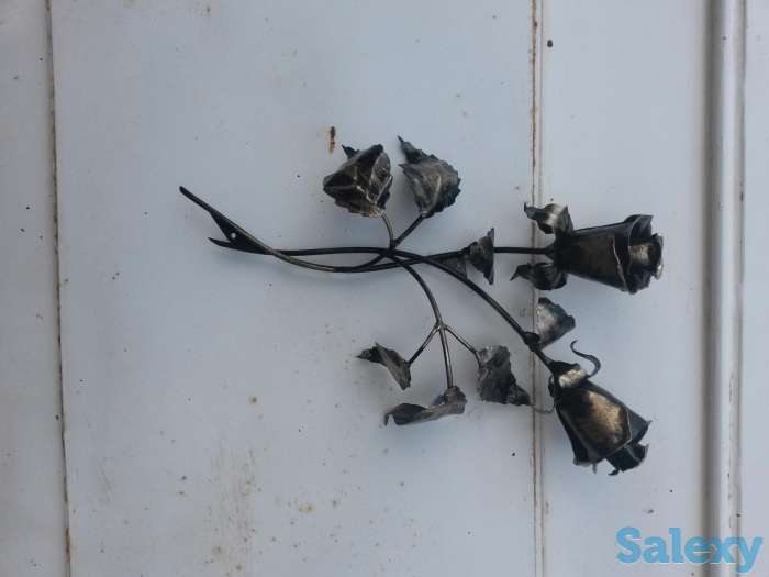 Розы, фотография 7