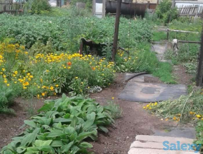 Продаю дом в п.Вольный Абайский р-он., фотография 6