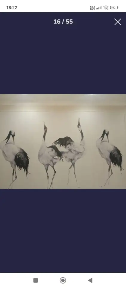 Срочный ремонт квартир, домов, офисов, фотография 4