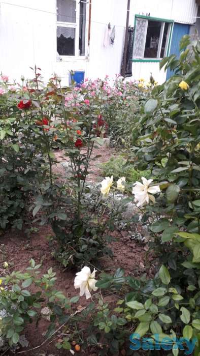 продам или обменяю частный дом, фотография 5