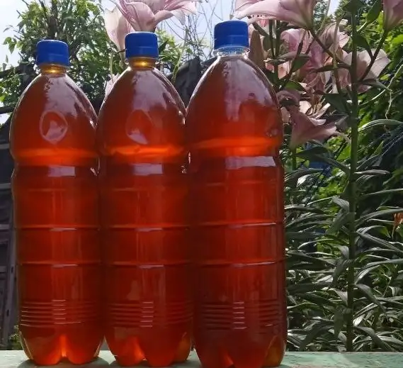 Мед пчелиный, натуральный, 2025 года., фотография 4