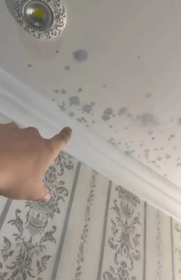 Мелкий косметический ремонт потолков Алматы, фотография 3