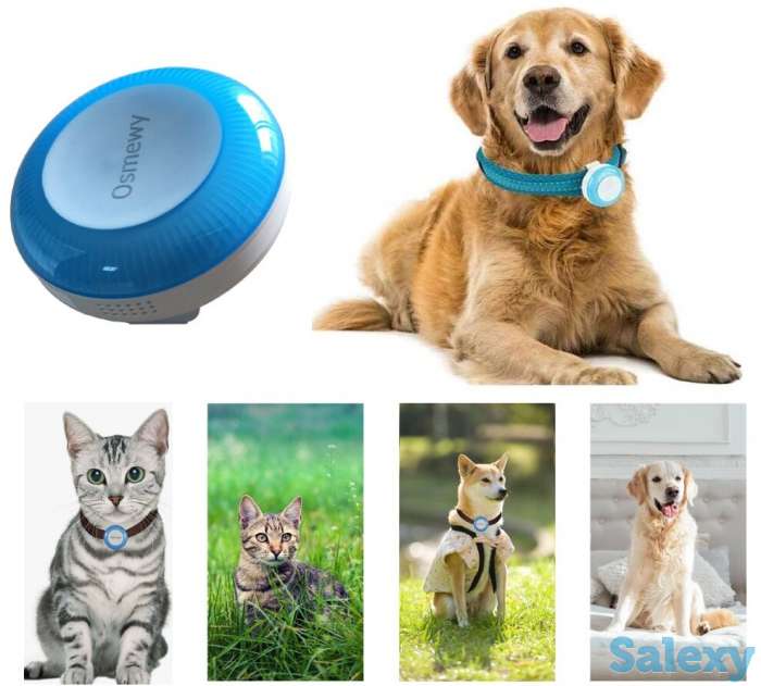 Продам GPS трекер для всех видов домашних животных, людей, багажа, Osmewy GT025, фотография 1