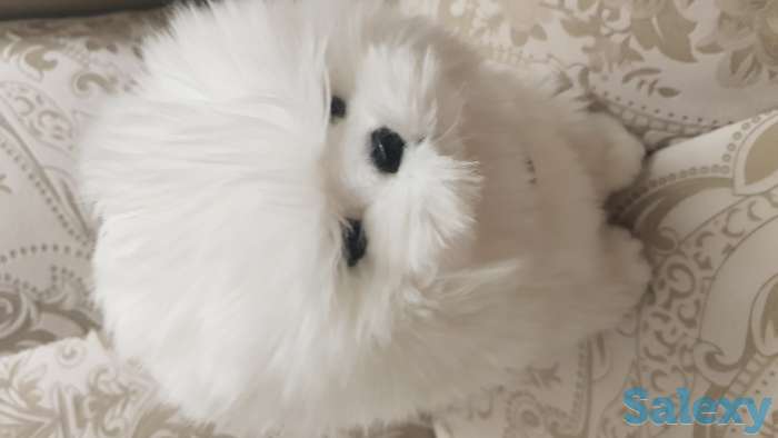 Игрушки мягкие, фотография 3