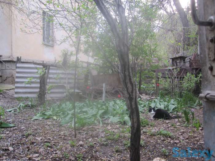 Квартиру-продам, проспект Гагарина угол Утепова, фотография 4