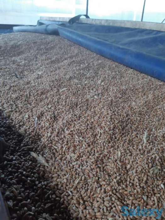 Тент Брезент, фотография 2