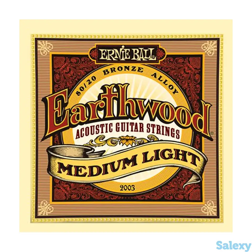Струны для акустической гитары ernie ball earthwood 80/20 p02003, фотография 1