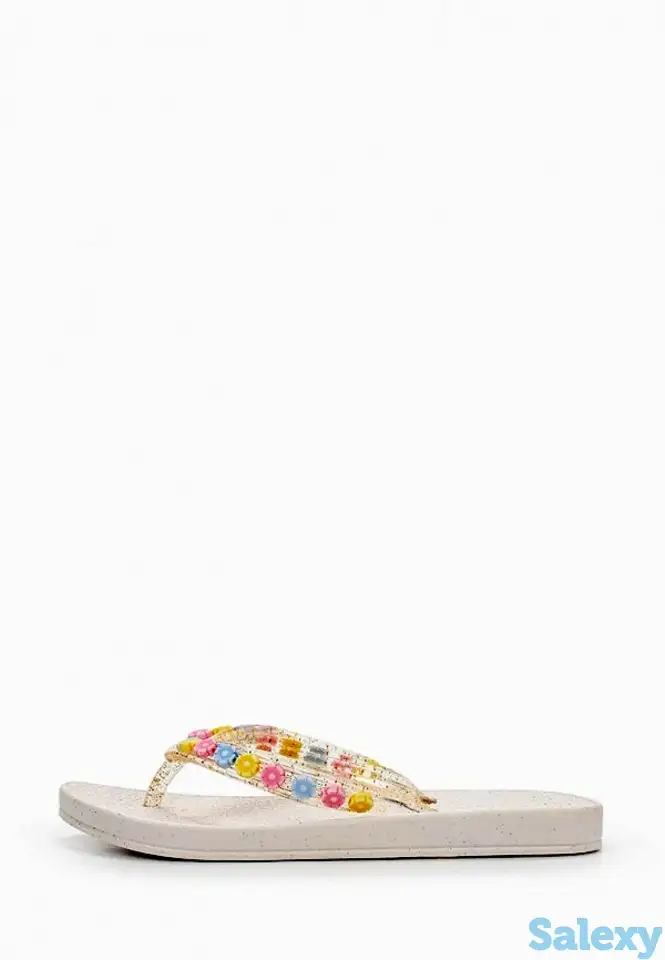 Сланцы t.taccardi, фотография 1