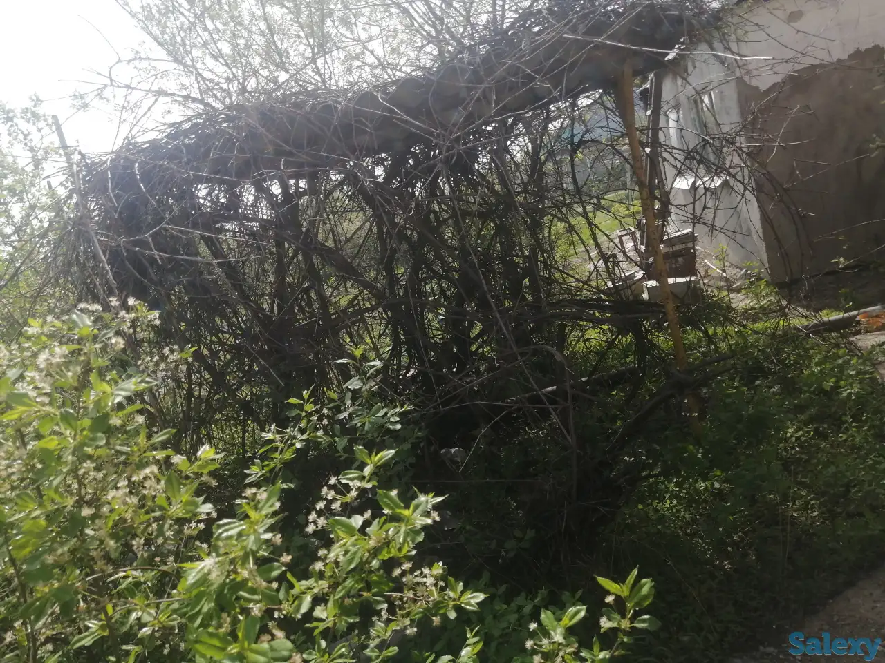 Продам дачу, 2ая дачная поворот налево, фотография 11