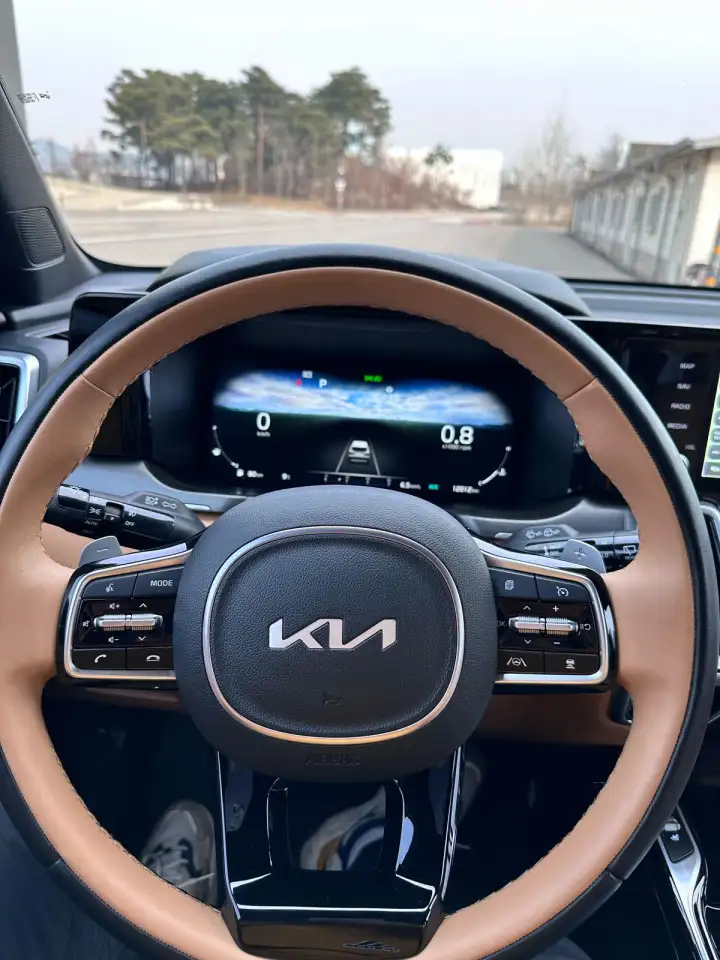 Kia Sorento, фотография 11