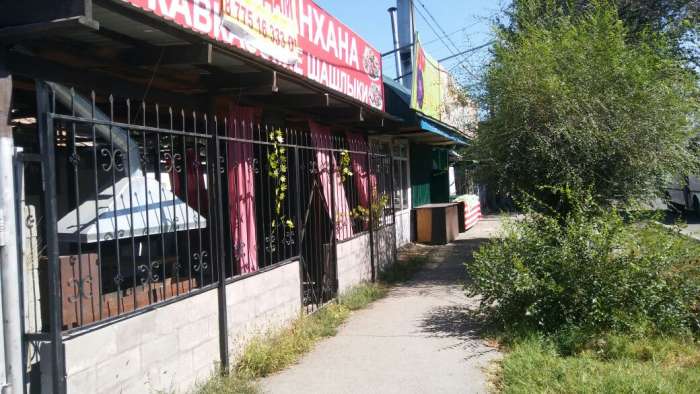 Продам Дом под бизнесс, Райымбека, Немировича-Данченко, фотография 2