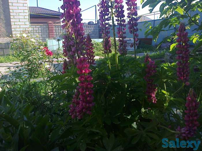 продаю дом с участков в центре города, микр достык  ул садвокасова 198, фотография 3