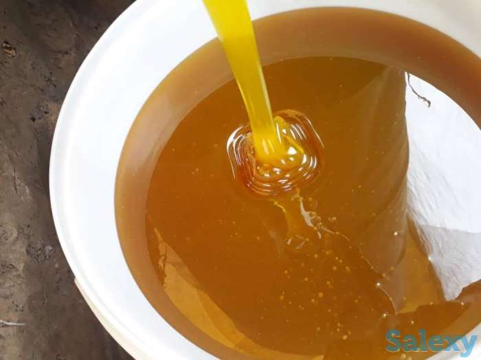 Мед. Хлопковый мед, фотография 1