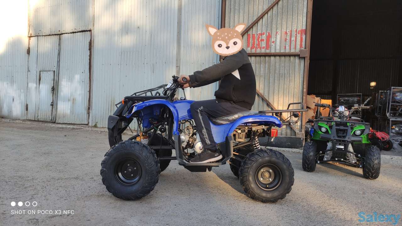 Квадроциклы 50,110,125,250сс, фотография 10