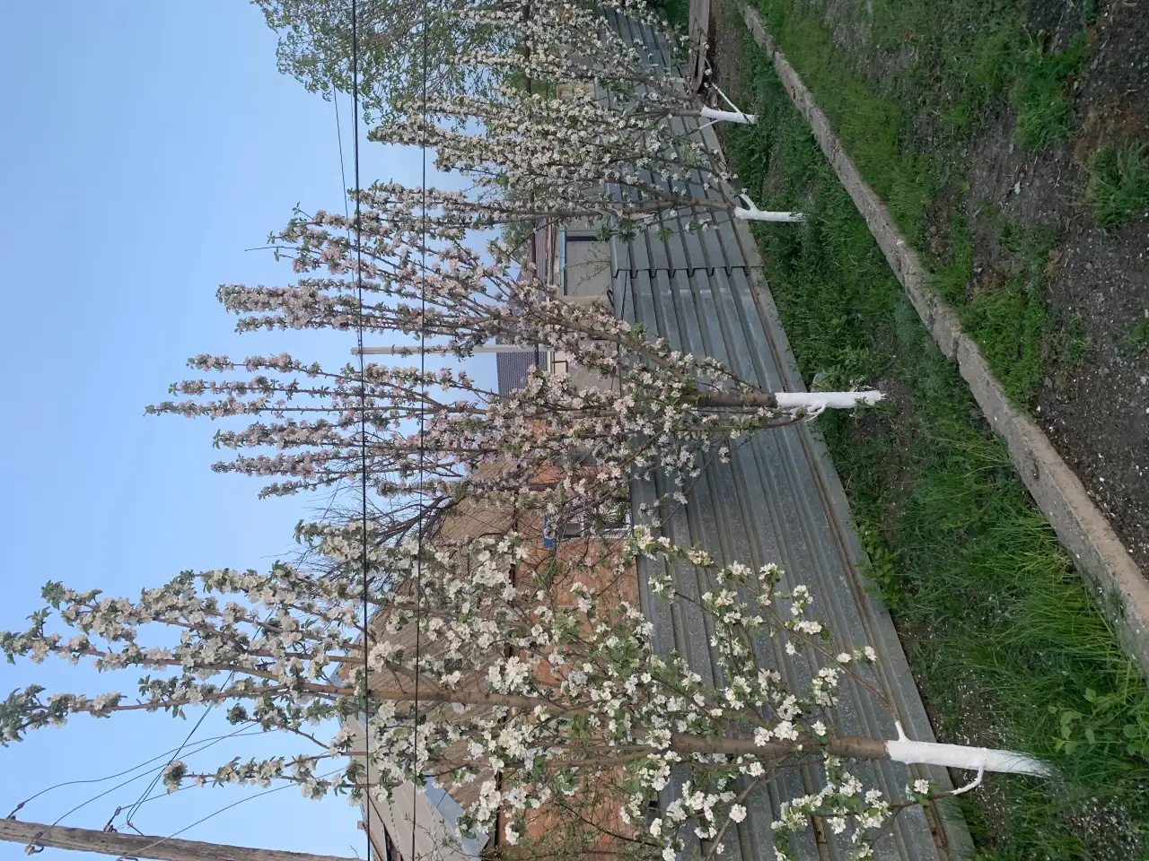 Продается добротный дом с участком, С. Достык(РТС)  ул. Макатаева (Первомайская) 13, фотография 10