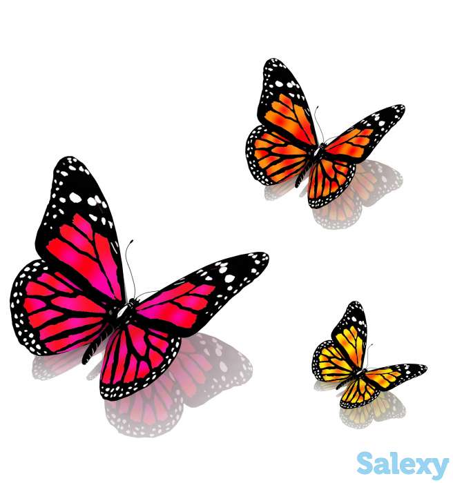 Натяжные потолки, фотография 1