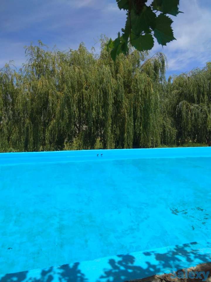 Действующий бизнес в Чундже, фотография 4