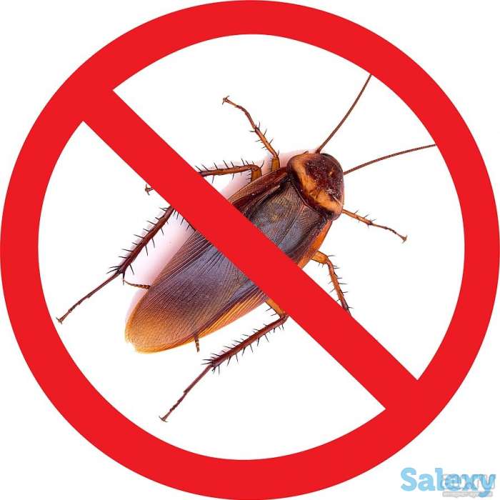 Избавим от тараканов навсегда, фотография 3