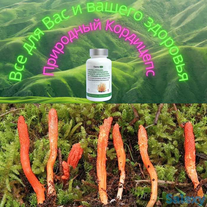 Кардицепс натуральный антибиотик, для иммунитета, фотография 1