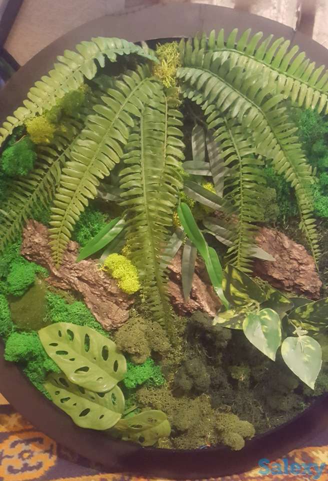 Картина, фотография 3