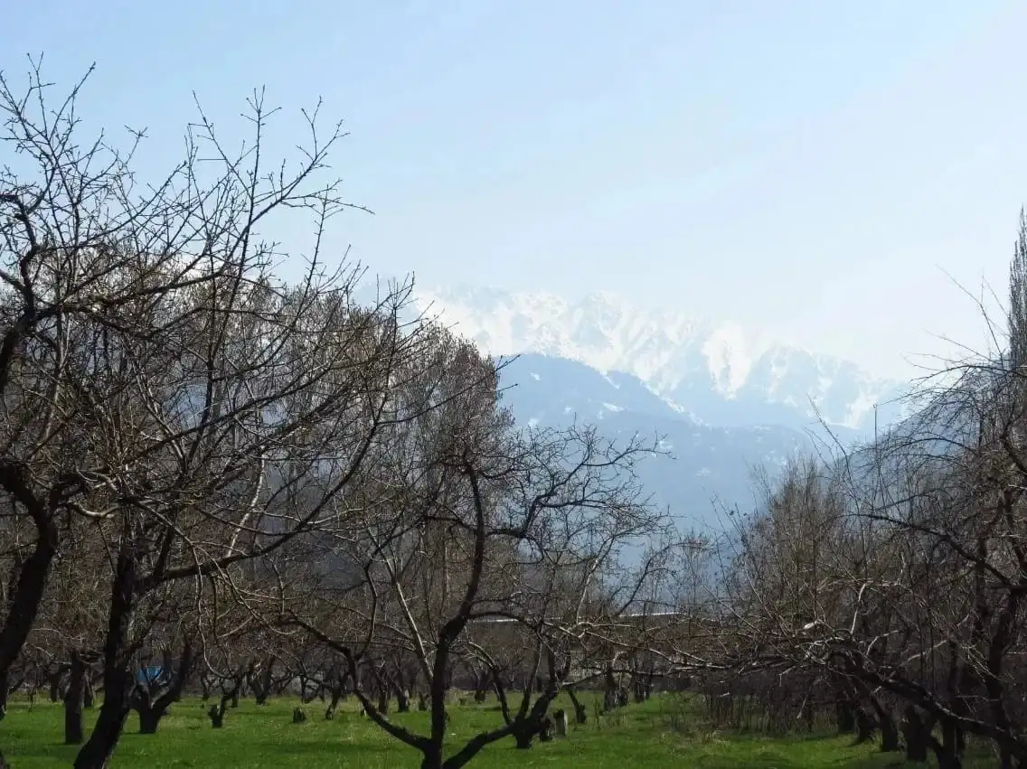 Продам участок, мкр. Акку, фотография 5