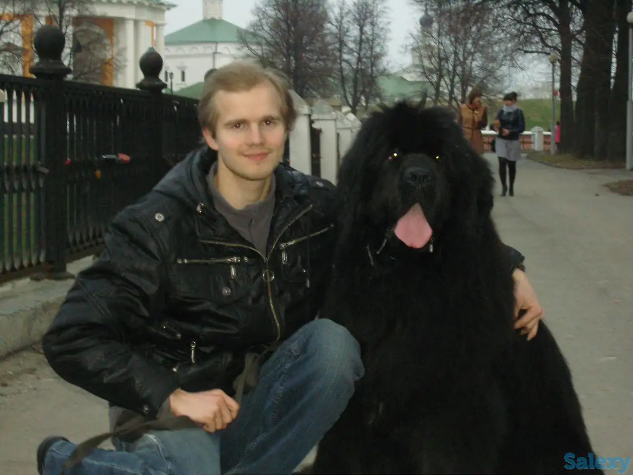 Репетитор. Английский, русский языки Вокал. Скидки, фотография 1