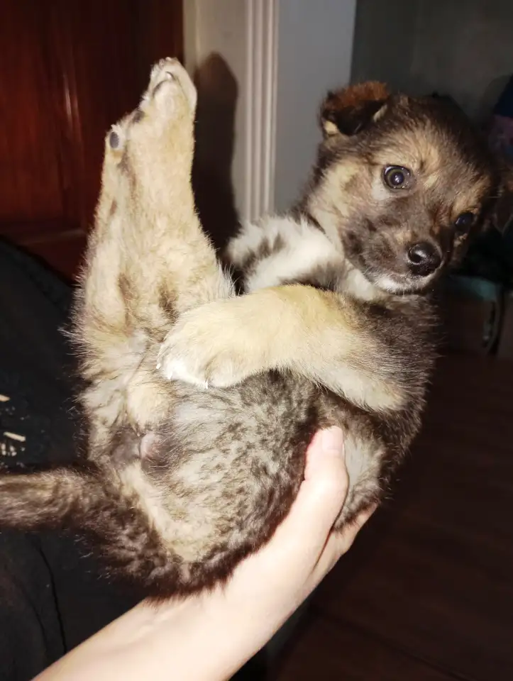 Забери меня к себе, Добрый человек, фотография 5