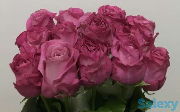 Цветы оптом и в розницу,букеты, фотография 2