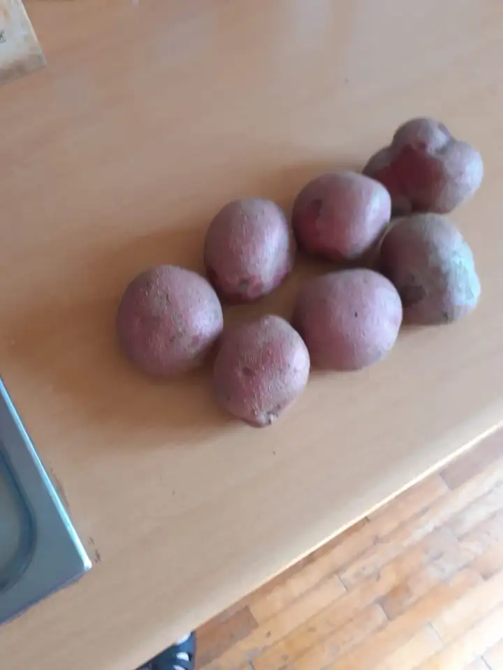 Картофель дачный, фотография 1