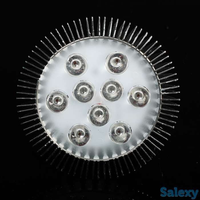 фитолампы, фотография 2