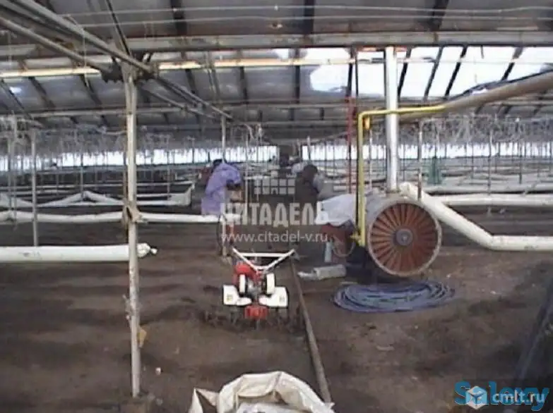 Теплица под ключ, фотография 5