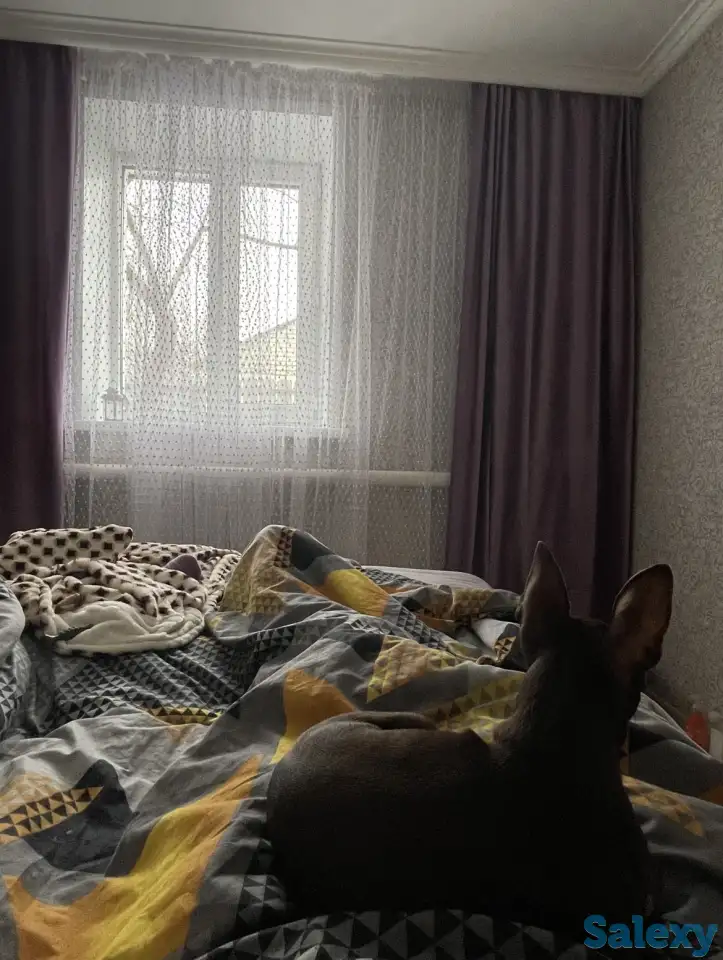 Продается дача, Район Байтерек, с/о Факел, фотография 2